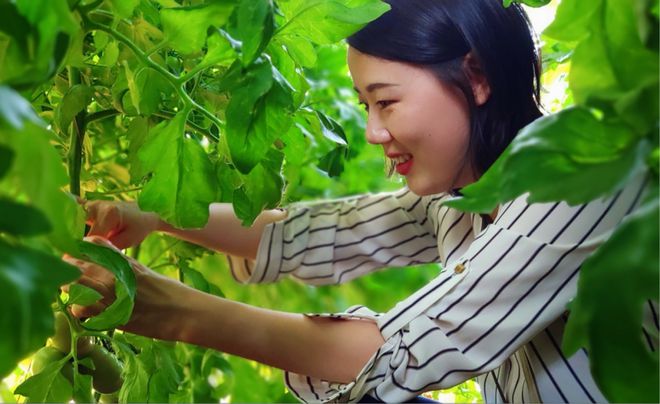 西咸新区的“繁花”故事(图5)