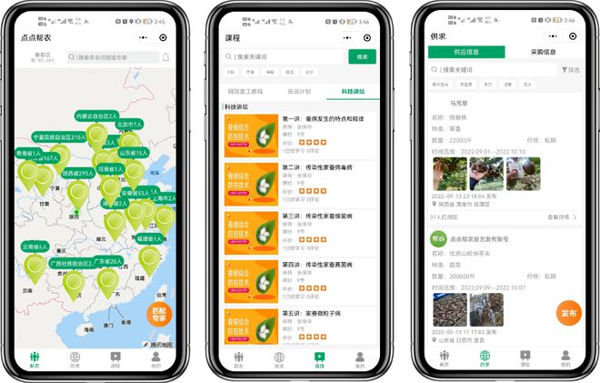 西咸新区的“繁花”故事(图6)