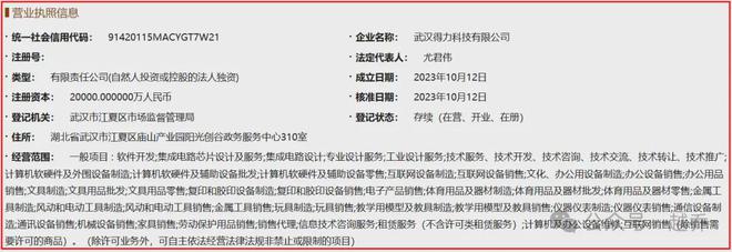 定了！武汉再添华中总部！(图5)