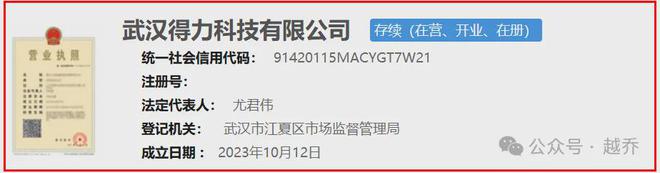 定了！武汉再添华中总部！(图4)